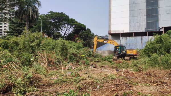 Jasa Pembukaan Lahan Per Meter
