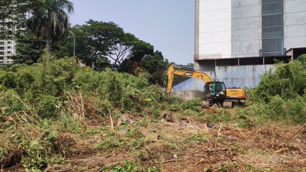 Jasa Pembukaan Lahan Per Meter