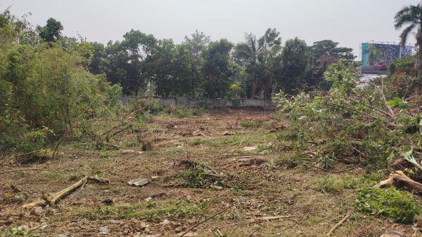 Jasa Pembukaan Lahan Per Meter