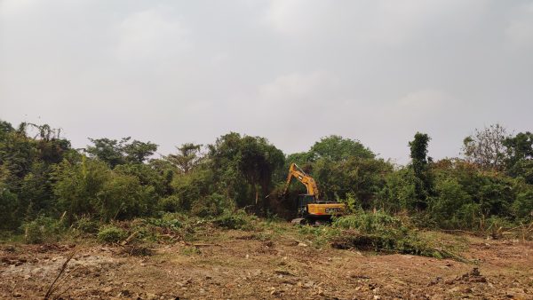 Jasa Pembukaan Lahan Per Meter
