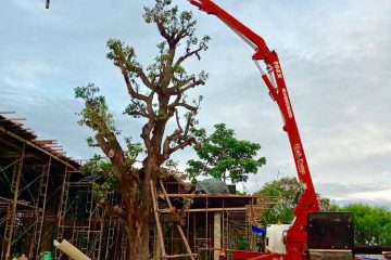 Cari sewa concrete pump Jakarta Timur dengan harga per shift? Dapatkan layanan terbaik untuk pengecoran yang cepat, efisien, dan andal di seluruh Jakarta Timur.